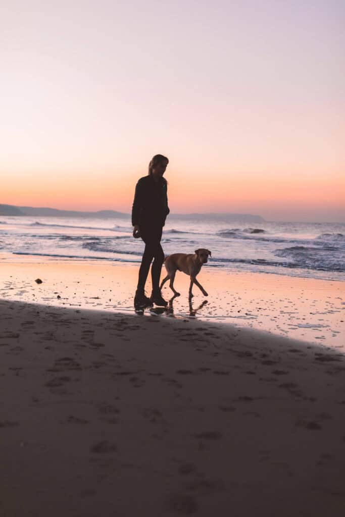 Eine Person geht bei Sonnenuntergang mit ihrem Hund an einem Sandstrand spazieren. Der Himmel ist in sanften Orange- und Lilatönen gefärbt und sanfte Wellen plätschern ans Ufer. Im Hintergrund sind Silhouetten entfernter Berge zu sehen.
